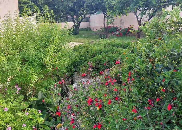Summer Village House Popi